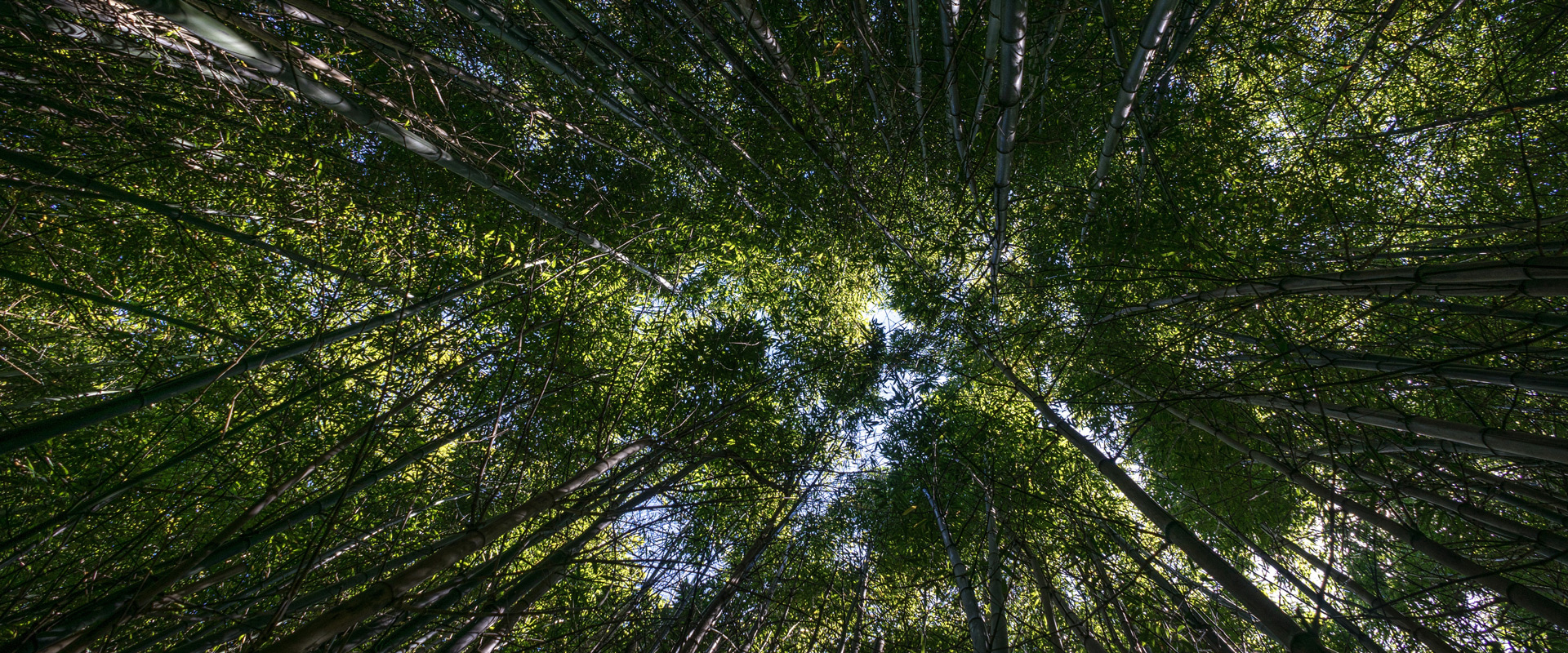 Umweltfreundliche Produkte | DOM Sicherheitstechnik